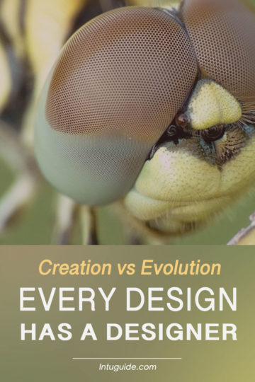 Every Design Has a Designer, Creation and Evolution, intuguide.com