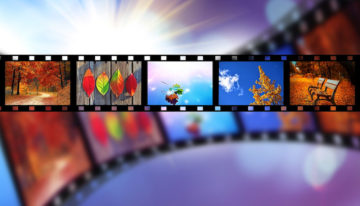 Movie Roll, Many Worlds, The Law of Attraction, Intuguide