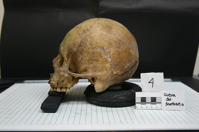 The Last Common Ancestors, Dali Man Human Skull