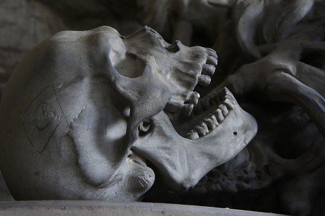 The Last Common Ancestors, Dmanisi skull