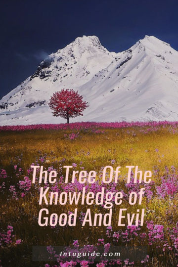The Tree of the knowledge of good and evil, intuguide.com