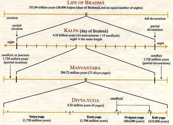Brahma lifespan