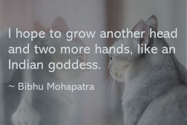 twin flame quote